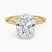Secret Halo with 3ct Oval Certified Lab Diamond