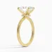 Secret Halo with 3ct Oval Certified Lab Diamond